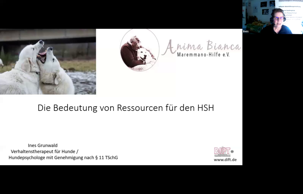 Bild: Die Bedeutung von Ressourcen für den HSH