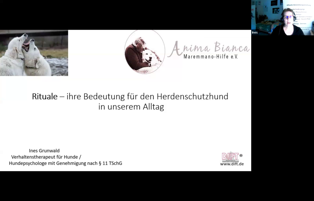 Bild: Rituale - ihre Bedeutung für den Herdenschutzhund in unserem Alltag