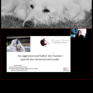 Videoseminar: Das Aggressionsverhalten des Hundes – speziell des Herdenschutzhundes