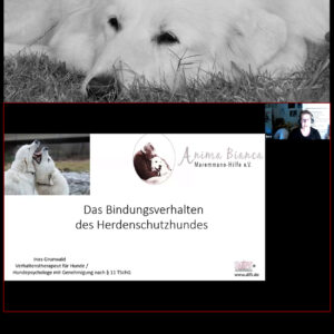 Videoseminar: Das Bindungsverhalten des Herdenschutzhundes