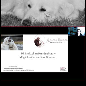 Videoseminar: Hilfsmittel im Hundealltag