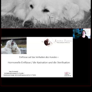 Videoseminar: Kastration und Sterilisation