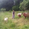Beobachten in sicherer Entfernung