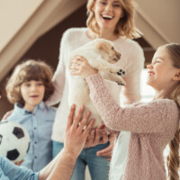 Mogel-Labbi? Copyright: despositphotos