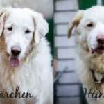 Klärchen und Heini