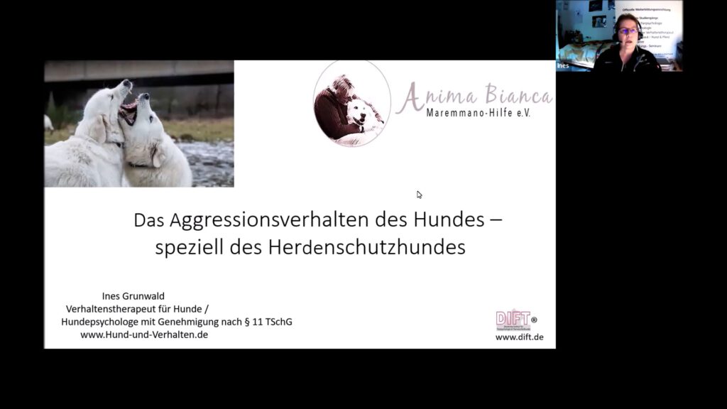 Bild: Das Aggressionsverhalten des Hundes - speziell des Herdenschutzhundes