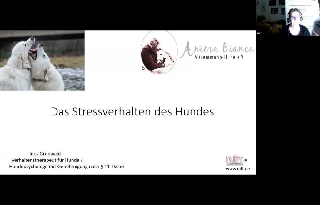 Bild: Das Stressverhalten des Hundes